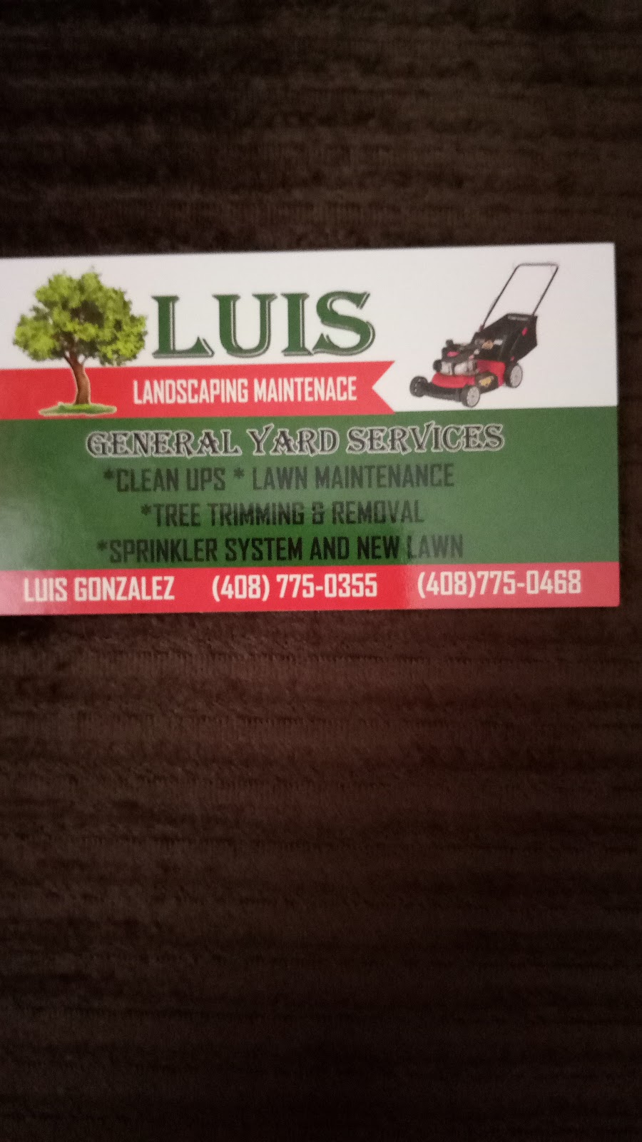 Luis Landscaping Maintenace | 1399 Tami Lee Dr, San Jose, CA 95122, USA | Phone: (408) 775-0355