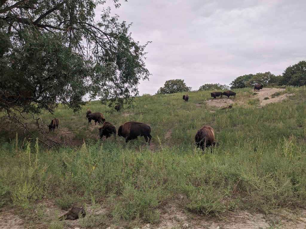 Nebraskas Wildlife Safari Park | 814 E Park Hwy, Ashland, NE 68003, USA | Phone: (402) 944-9453