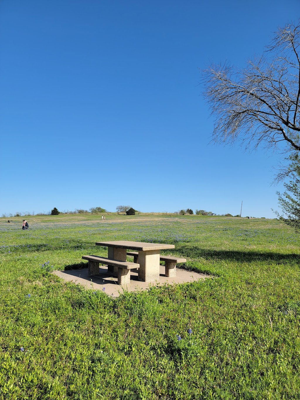 Meadow Nature Area | 1901 Laneview Dr, Ennis, TX 75119, USA | Phone: (972) 878-4748