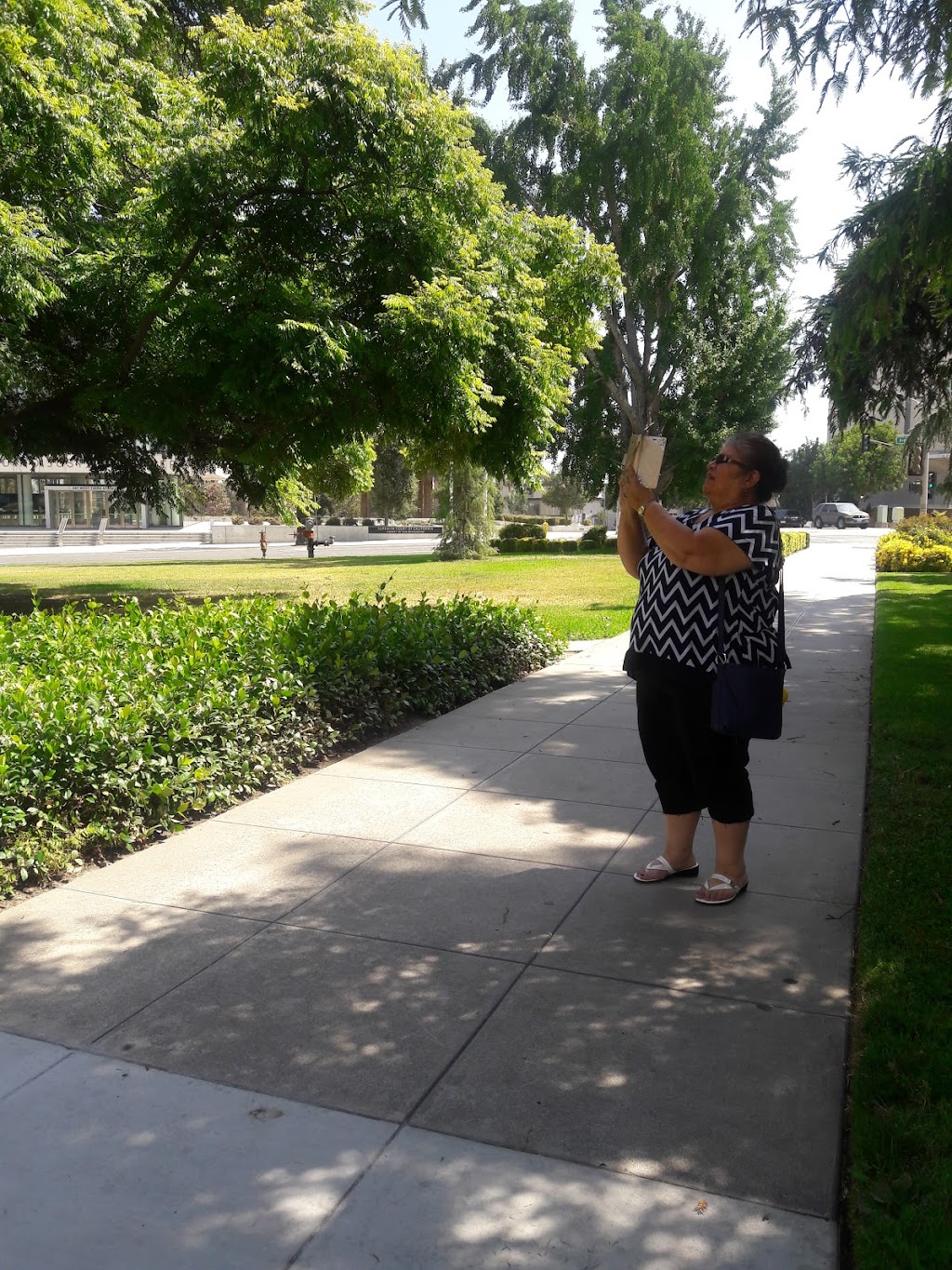 Meadowbrook Park | 250 N Sierra Way, San Bernardino, CA 92408, USA | Phone: (909) 384-5233 Meadowbrook Park | 250 N Sierra Way, San Bernardino, CA 92408, USA | Phone: (909) 384-5233