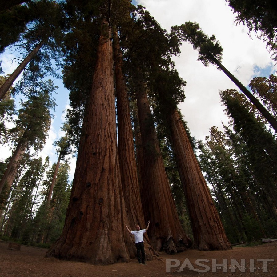 Pashnit Motorcycle Tours, | 3566 Sudbury Rd, Cameron Park, CA 95682, USA | Phone: (530) 391-1356