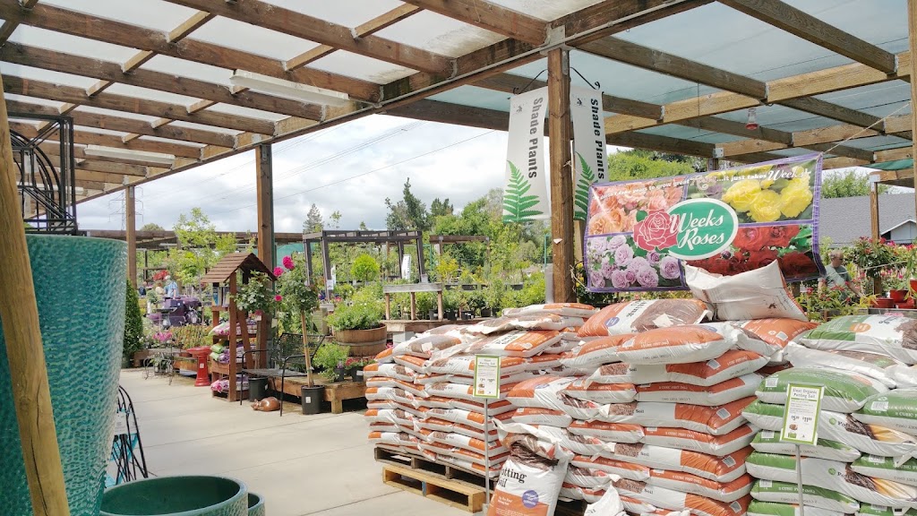 Sloat Garden Center | 1555 Kirker Pass Rd, Concord, CA 94521, USA | Phone: (925) 681-0550