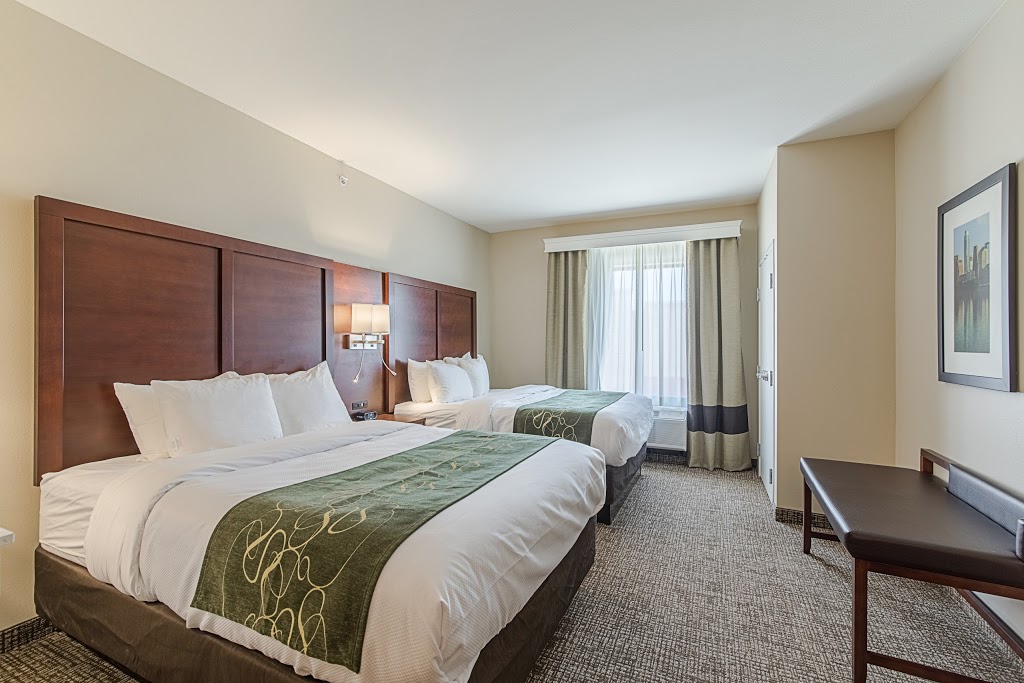 Comfort Suites Kyle | 5213 Physicians Way, Kyle, TX 78640, USA | Phone: (512) 262-0098