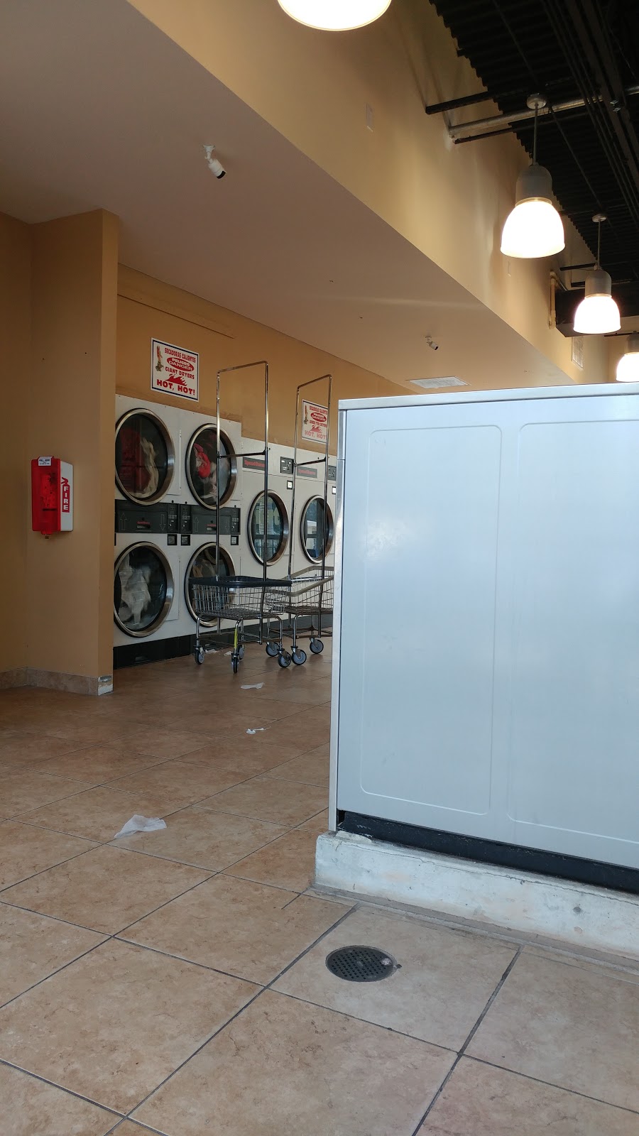 Bayshore Laundromat | 1305 Bayshore Blvd, Dunedin, FL 34698, USA | Phone: (727) 776-0673