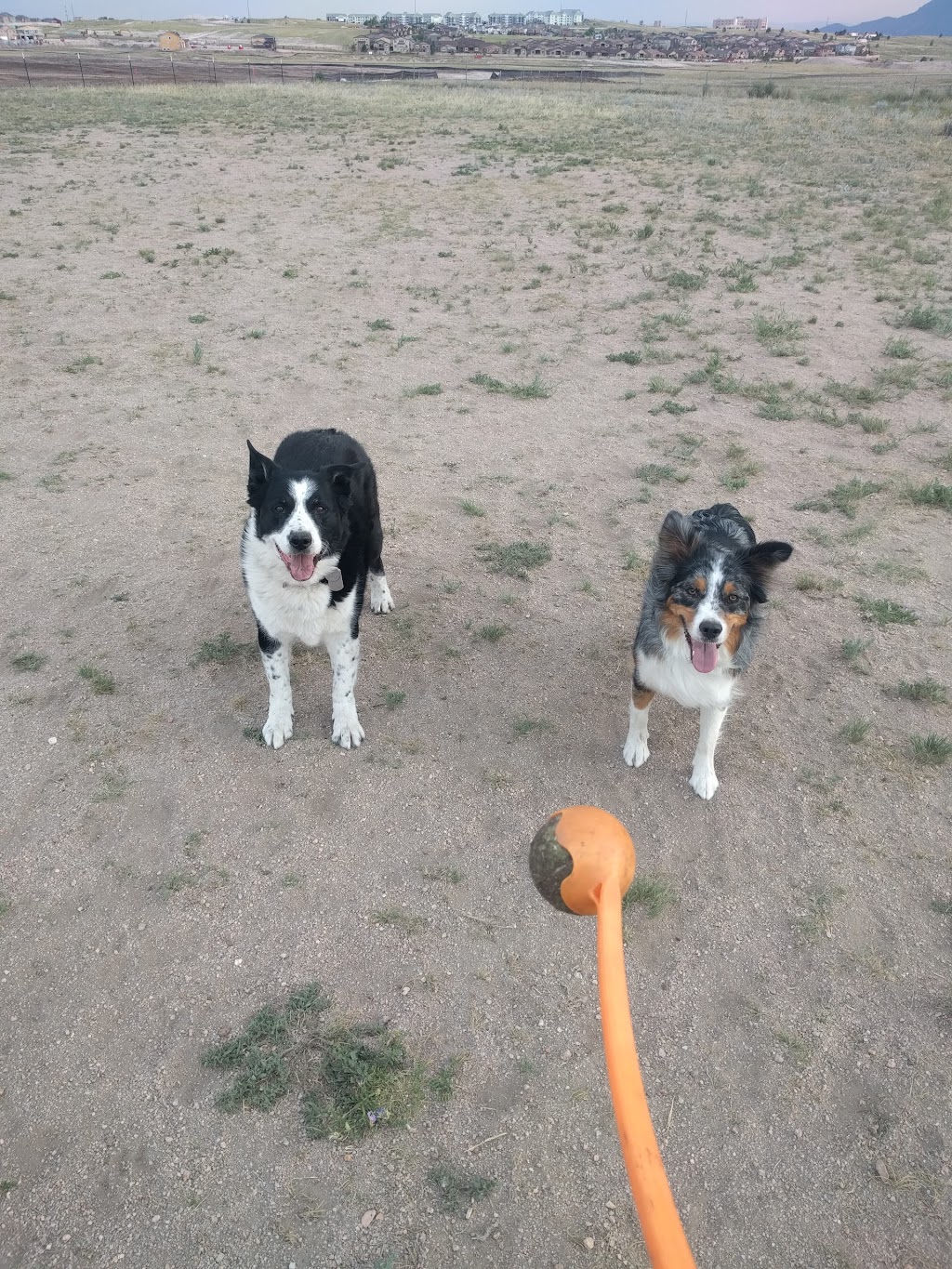 Wolf Ranch Dog Park | 8701 Wolf Recreation Point, Colorado Springs, CO 80924, USA | Phone: (719) 597-9653