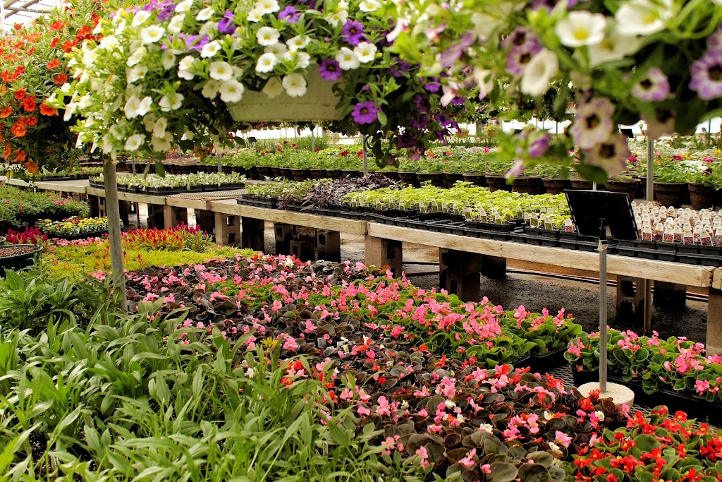 Fellys Flowers and Garden Center | 6353 Nesbitt Rd, Madison, WI 53719, USA | Phone: (608) 845-9591