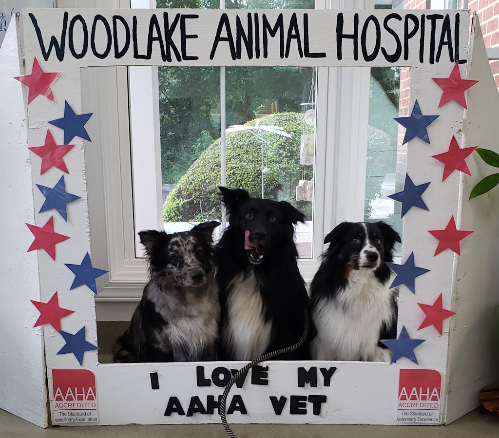 Woodlake Animal Hospital | 6511 Woodlake Village Pkwy, Midlothian, VA 23112, USA | Phone: (804) 639-1159
