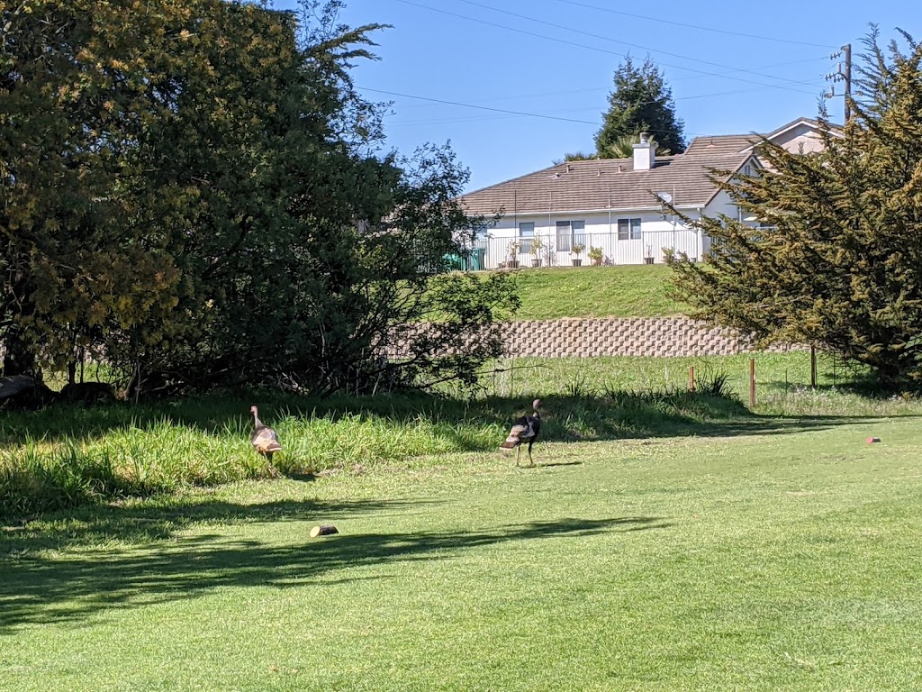 Pajaro Valley Golf Club | 967 Salinas Rd, Royal Oaks, CA 95076, USA | Phone: (831) 724-3851