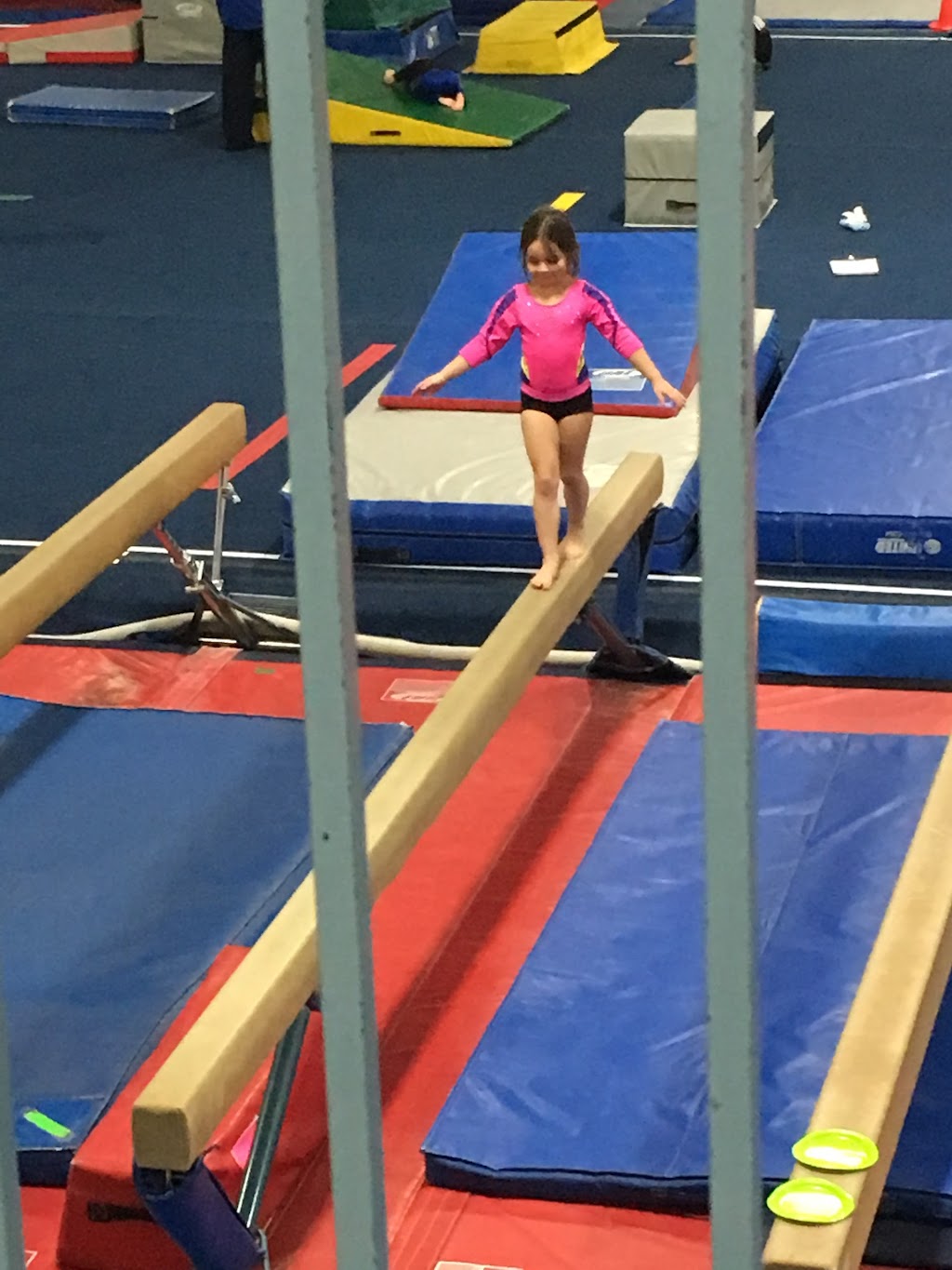 St Louis Spirits Gymnastics Club | 12975 Maurer Industrial Dr, St. Louis, MO 63127 | Phone: (314) 843-3322