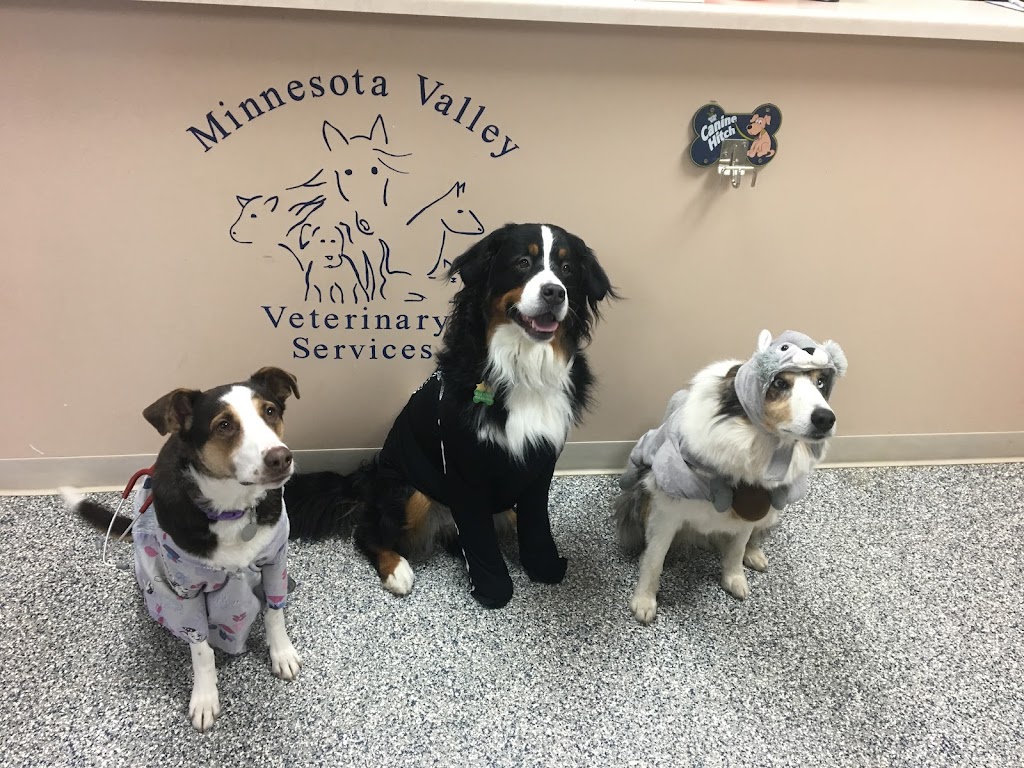 Minnesota Valley Vet Services | 500 Doppy Ln, Le Sueur, MN 56058, USA | Phone: (507) 665-2371