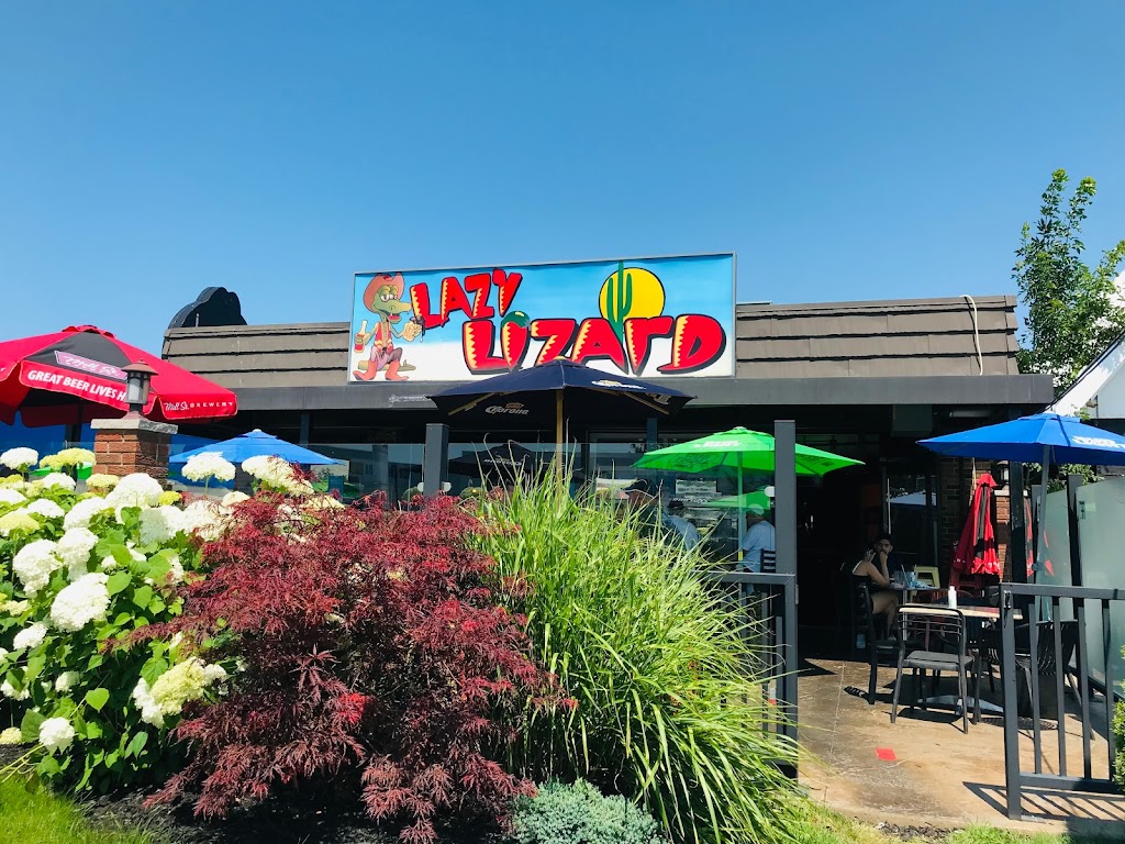 Lazy Lizard | 396 Ontario St, St. Catharines, ON L2R 5L8, Canada | Phone: (905) 937-9817