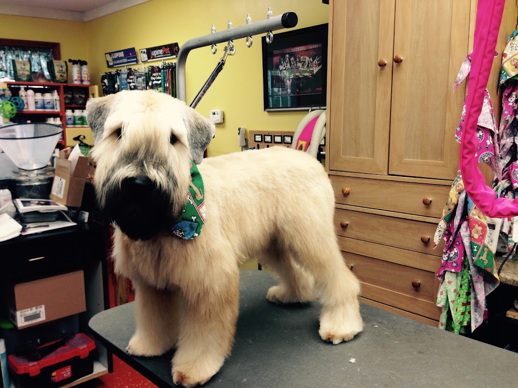 Adorybull Groom and Board | 12635 Buffalo Rd, Clayton, NC 27527, USA | Phone: (919) 359-1548