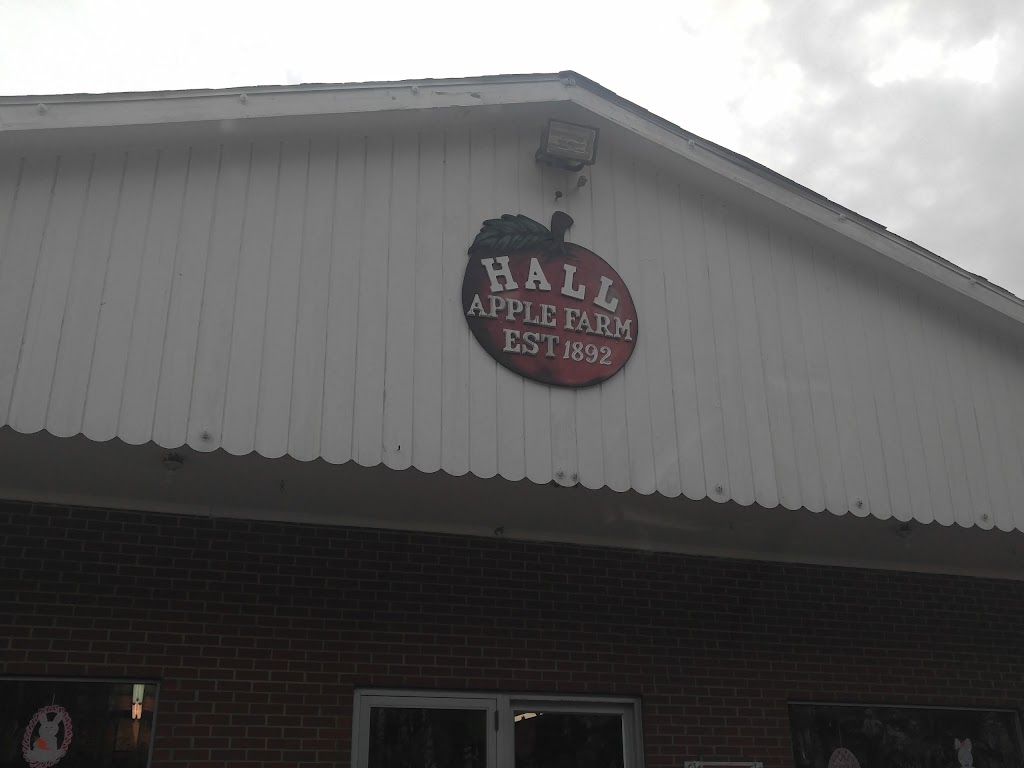 Halls Apple Farm | 6100 Ruhlmann Rd, Lockport, NY 14094 | Phone: (716) 434-0838