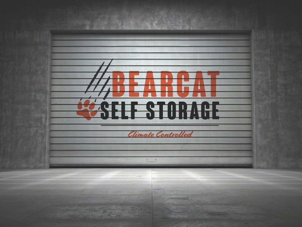 Bearcat Self Storage | 130 Nu Energy Dr, Aledo, TX 76008, USA | Phone: (817) 458-1308