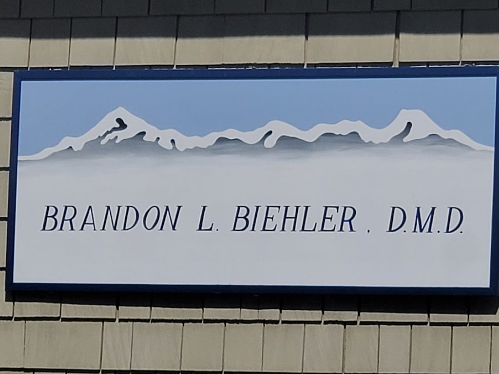 Whidbey Island Smiles | 1659 Layton Rd, Freeland, WA 98249, USA | Phone: (360) 331-6100