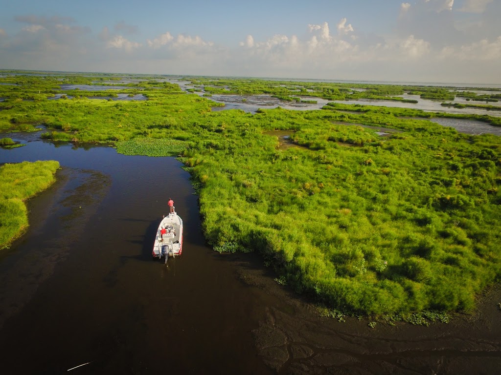 Louisiana Fishing Charters | 4258 Delacroix Hwy, St Bernard, LA 70085, USA | Phone: (504) 669-1263