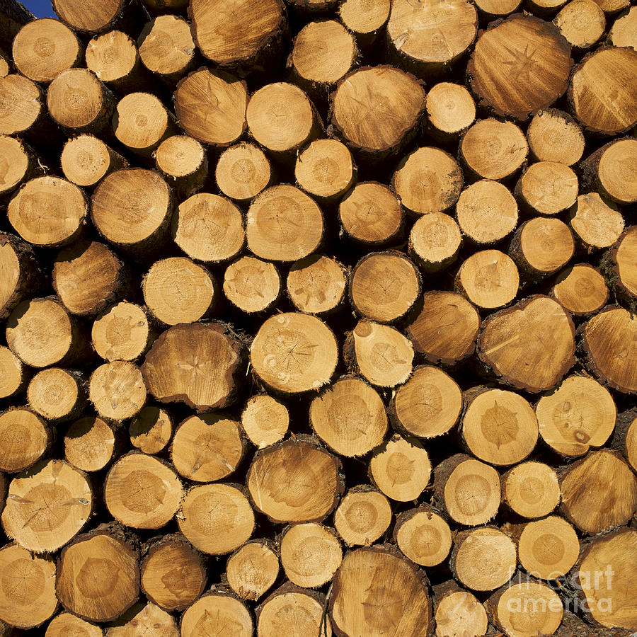 Long Lumber & Supply Corporation | 2100 New Scotland Rd, Slingerlands, NY 12159, USA | Phone: (518) 439-1661