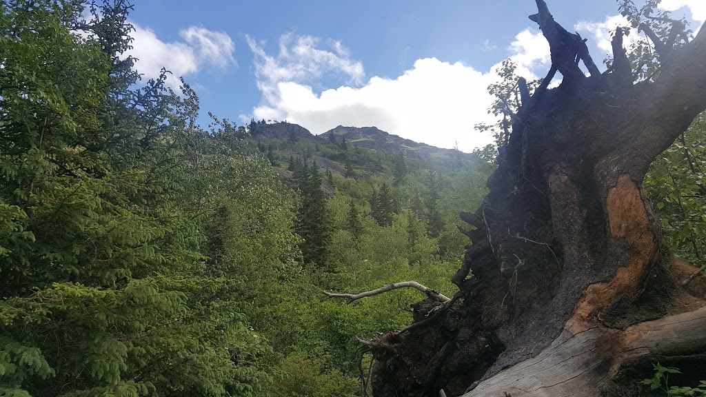 Potter Creek Ravine Park | 18530 Portugal Pl, Anchorage, AK 99516, USA | Phone: (907) 343-4355