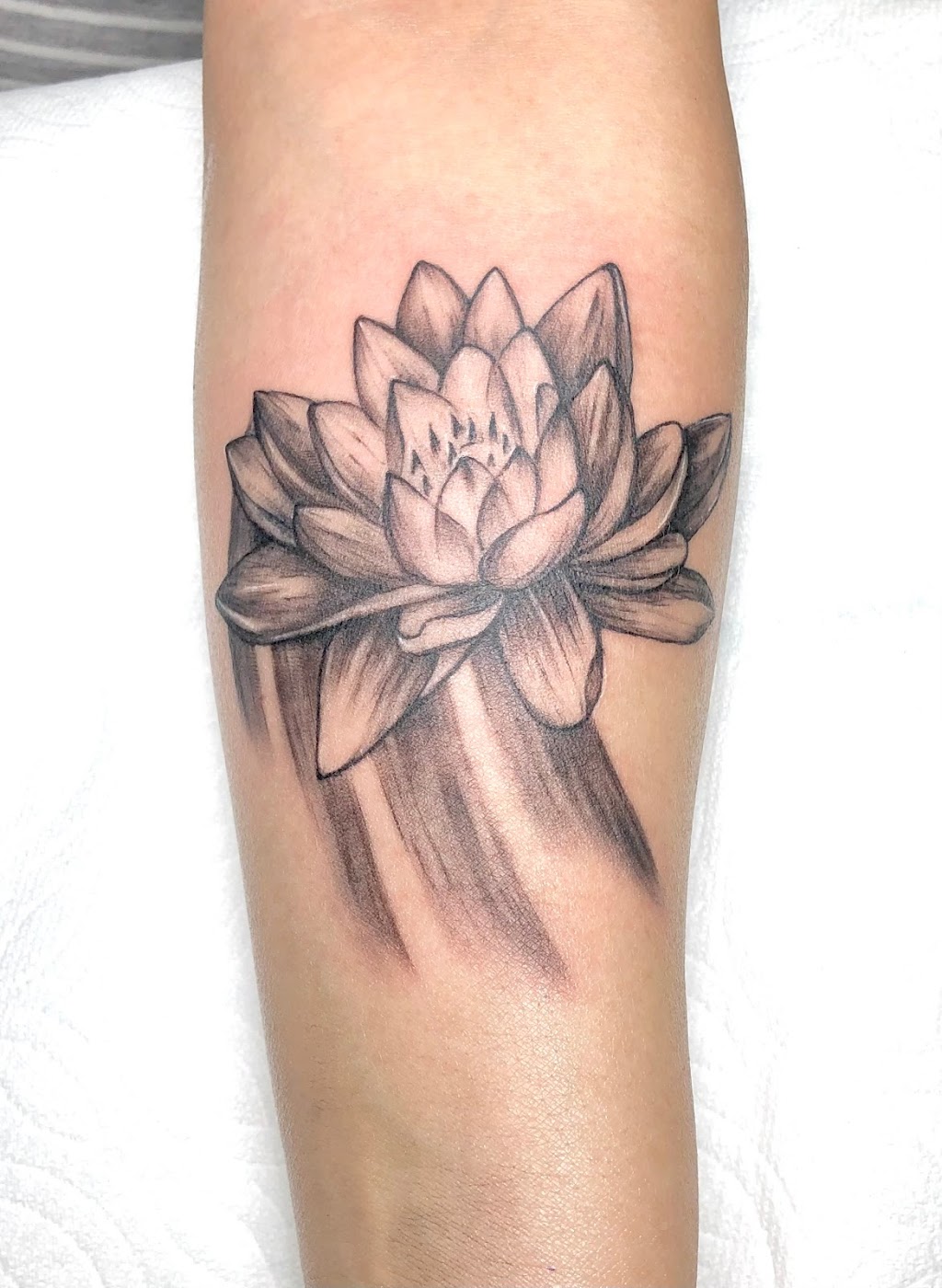 Anna Hang Tattoo Design | 13071 Brookhurst St #225, Garden Grove, CA 92843, USA | Phone: (714) 299-3387