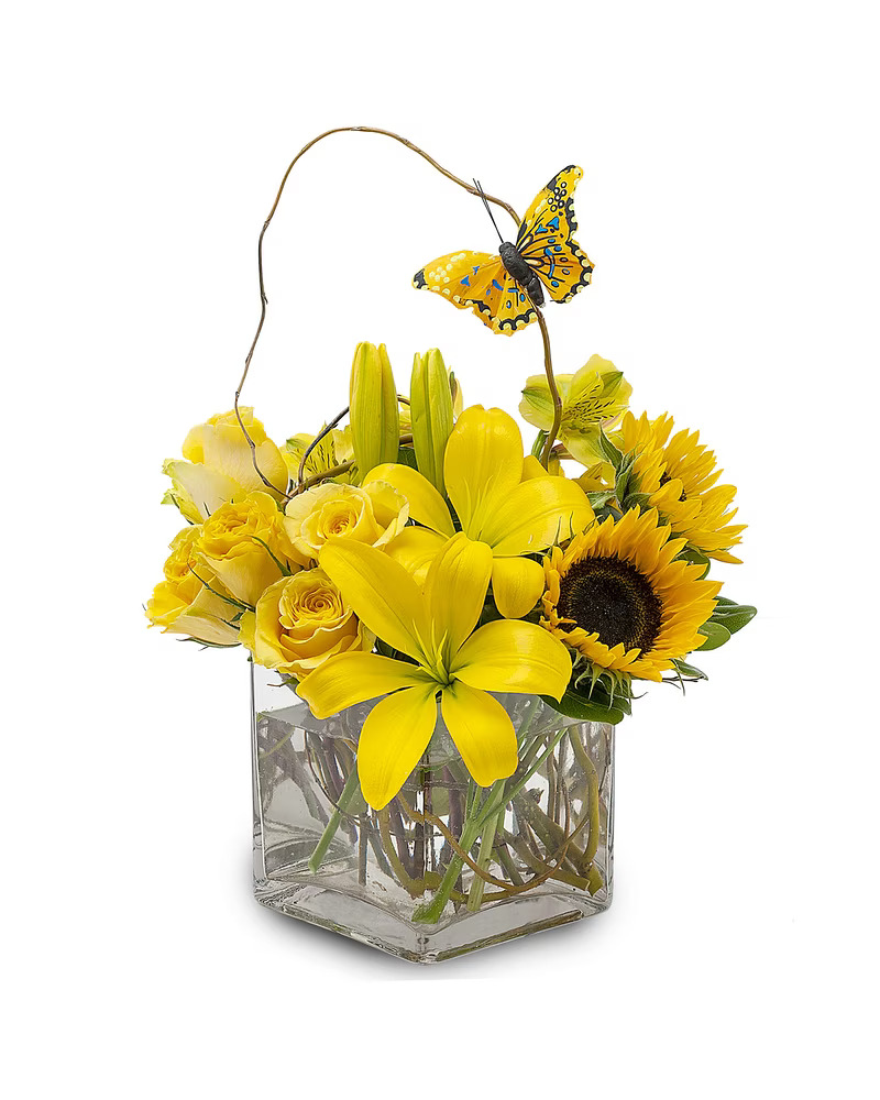 Timeless Blossoms - San Diego Flower Delivery | 9135 Judicial Dr C, San Diego, CA 92122, United States | Phone: (858) 622-1174