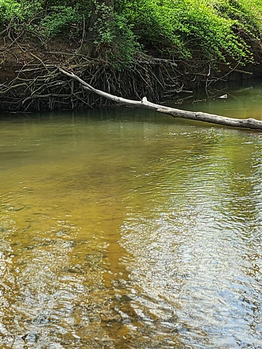 Jennings Chapel Parking, Patuxent River State Park | Woodbine, MD 21797, USA | Phone: (301) 924-2127