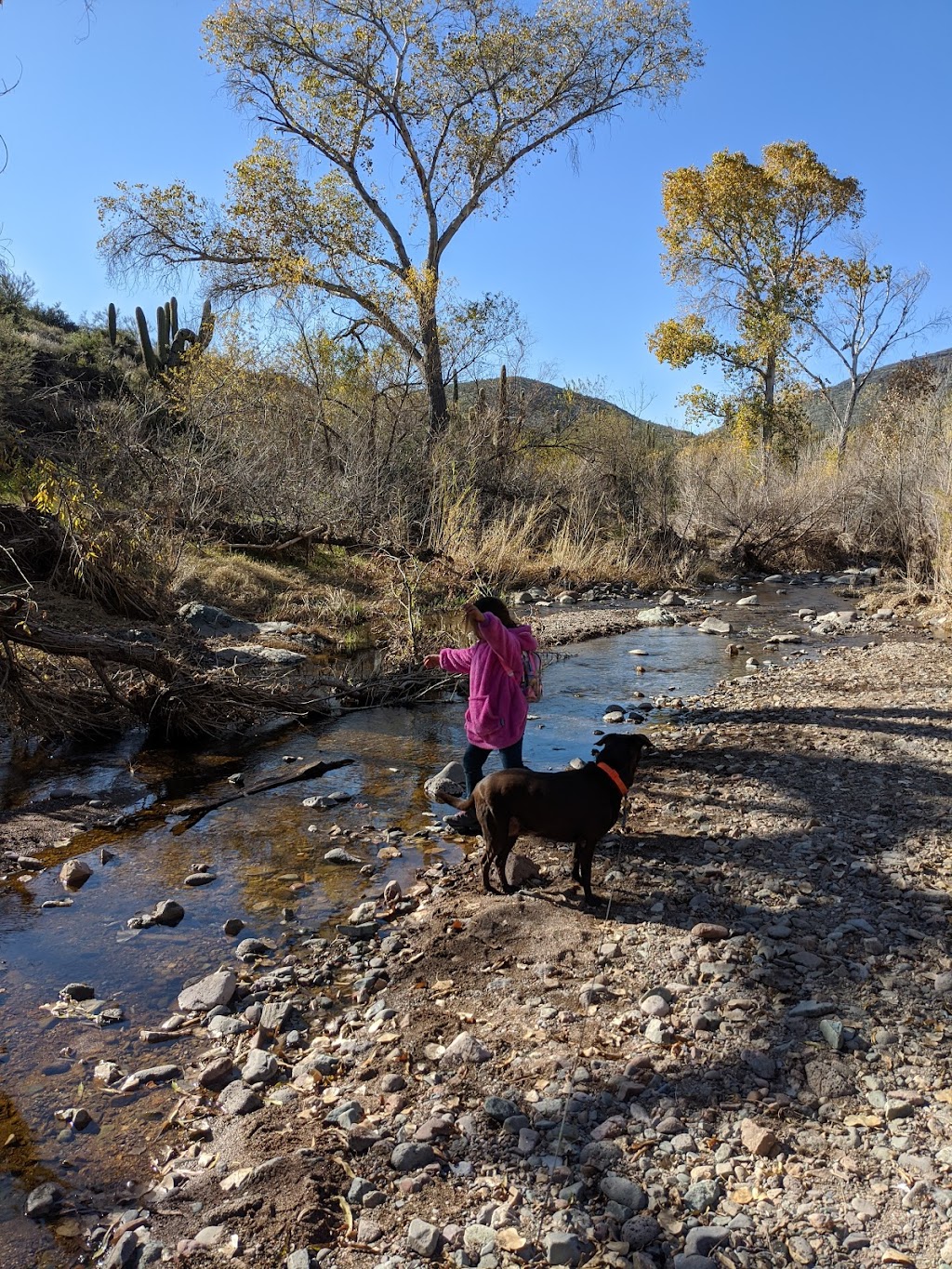 Jewel of the Creek Preserve | Cave Creek, AZ 85331, USA | Phone: (480) 488-6131