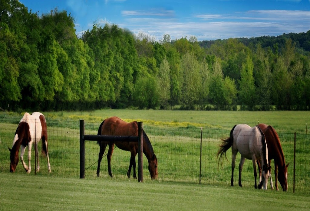 Rockhaven Cabin Rentals | 147 Mires Rd, Mt. Juliet, TN 37122, USA | Phone: (615) 470-5530