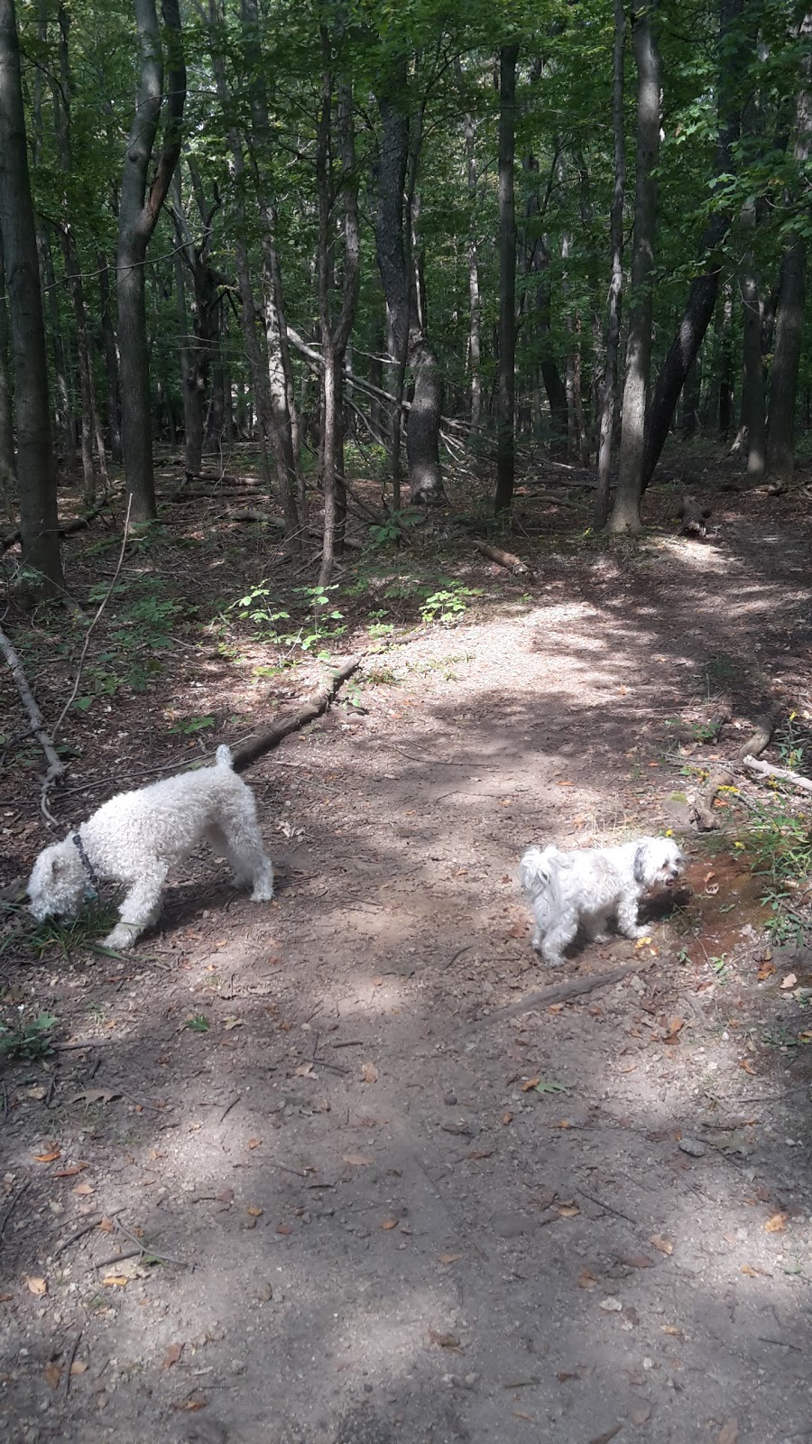 Clarence Nature Center | Thompson Rd, Clarence, NY 14031, USA | Phone: (716) 984-9046