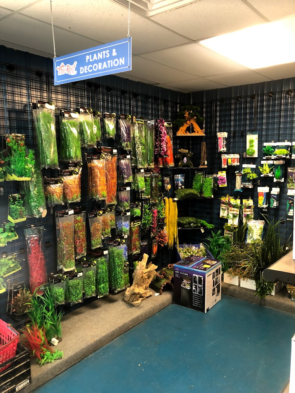 The Reef Aquarium Shop | 5613 N Keystone Ave, Indianapolis, IN 46220, USA | Phone: (317) 253-9695