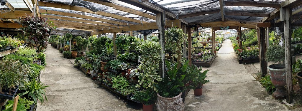 Turners Gardenland | 6503 S Padre Island Dr, Corpus Christi, TX 78412, USA | Phone: (361) 991-9002