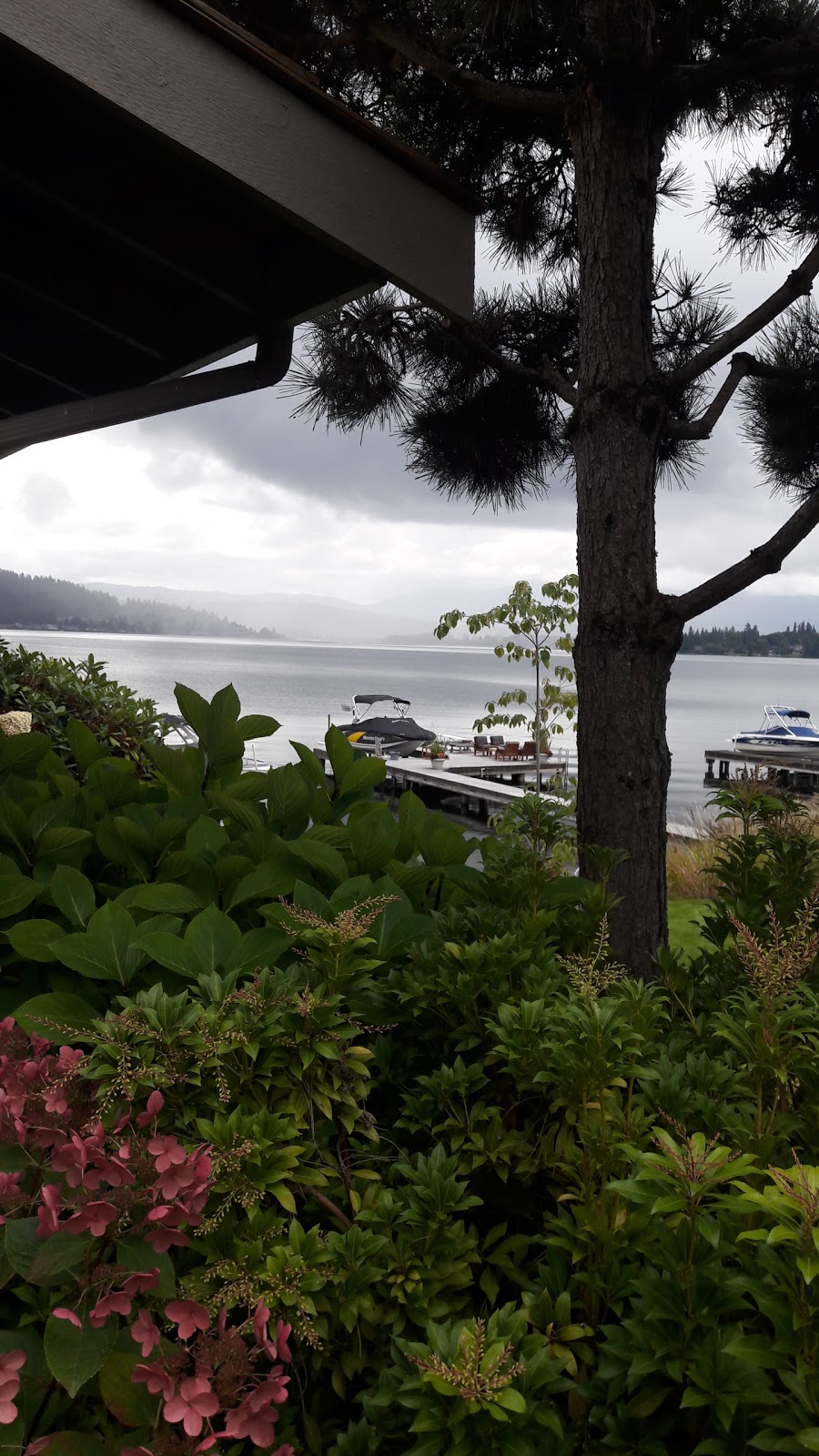 Nastasi Joe | 9229 Ward Pkwy #370, Kansas City, MO 64114, USA | Phone: (816) 221-1896