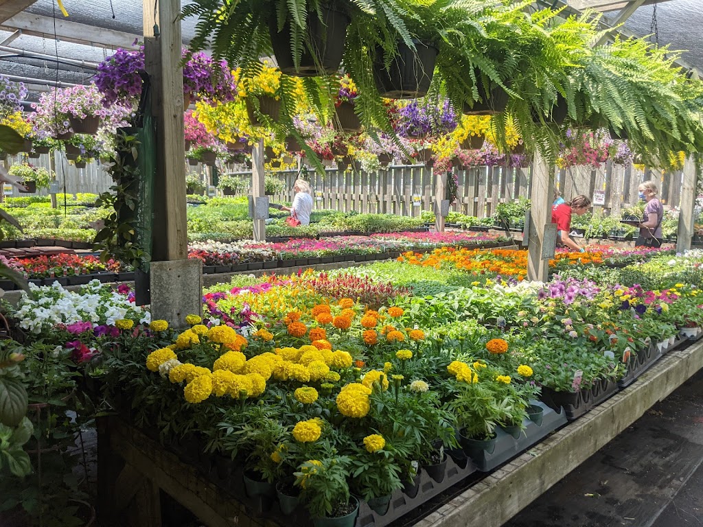 Gallaghers Farm Market | 346 Hwy 20 W, Fenwick, ON L0S 1C0, Canada | Phone: (905) 892-0698