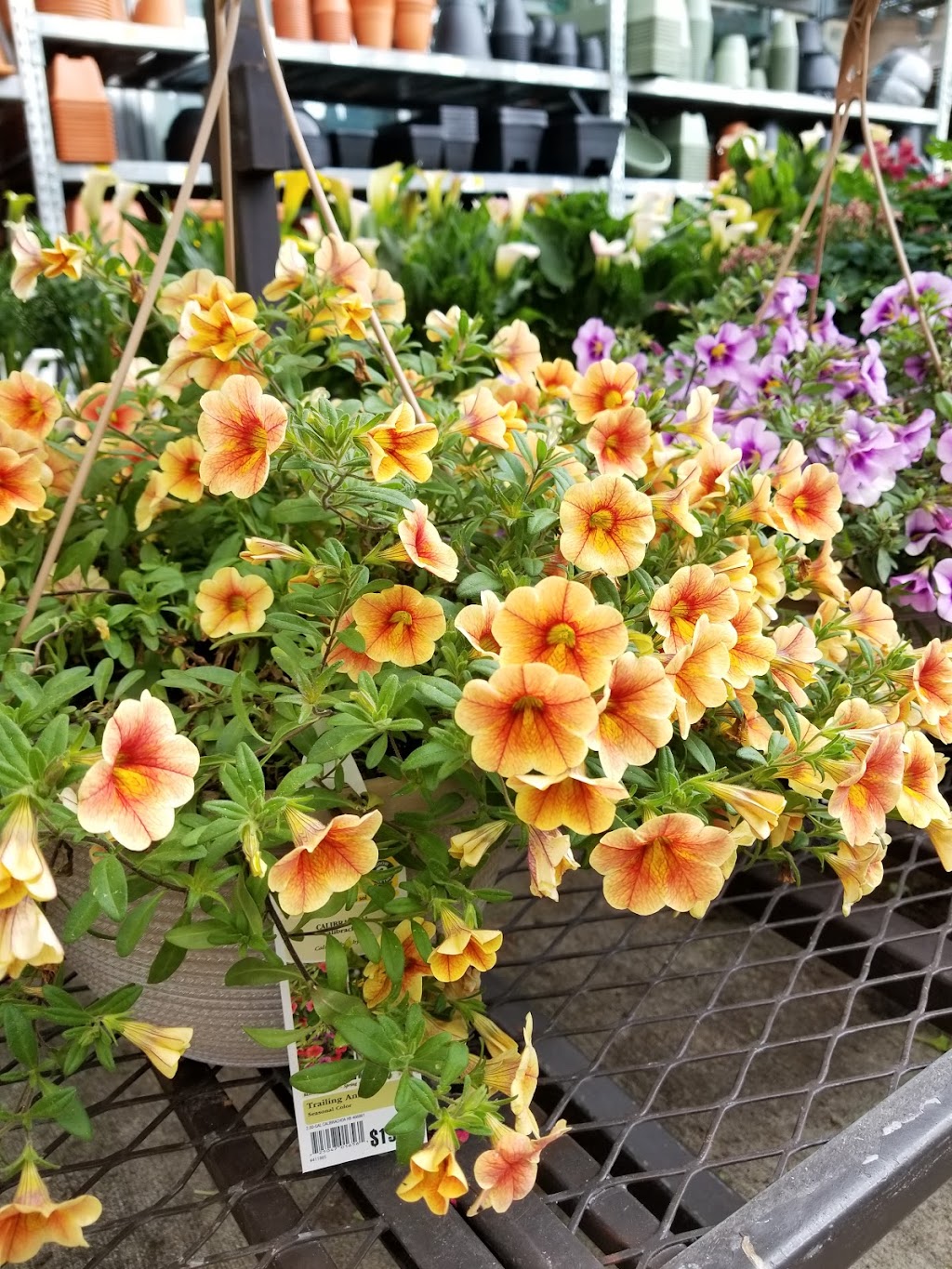 Lowes Garden Center | Hempfield Square, Lincoln Hwy, Greensburg, PA 15601, USA | Phone: (724) 853-6950