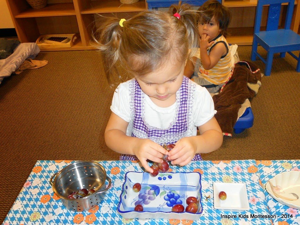 Inspire Kids Montessori Ahwatukee | 4025 E Chandler Blvd #11, Phoenix, AZ 85048, USA | Phone: (480) 659-9402