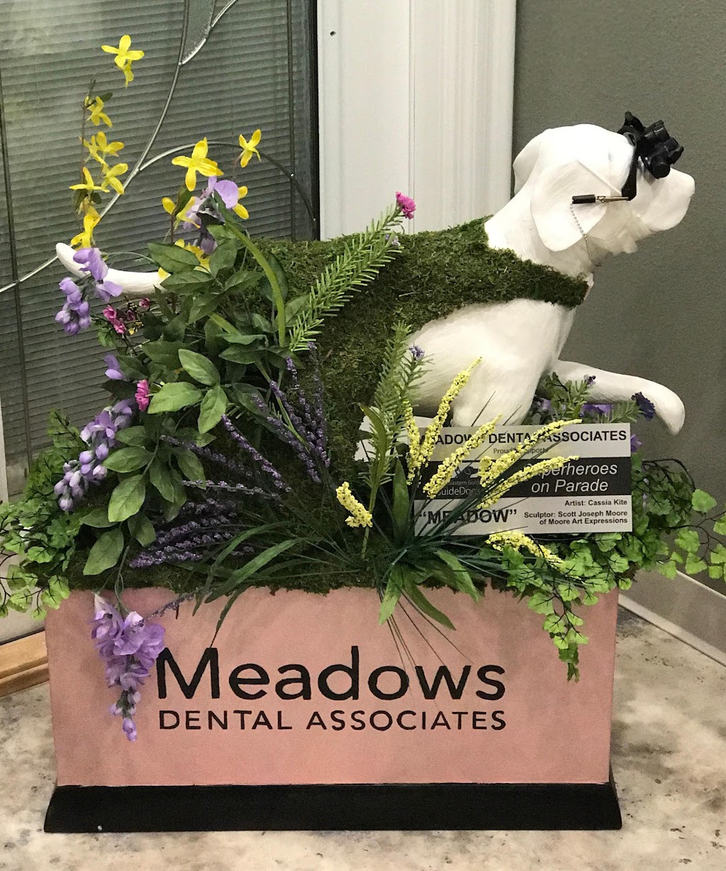 Meadows Dental Associates | 4987 Ringwood Meadow, Sarasota, FL 34235, USA | Phone: (941) 377-3659