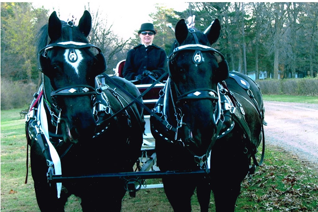 Lazy K Ranch Horse Drawn Carriage Services | 1361 MN-246, Kenyon, MN 55946, USA | Phone: (507) 789-5399