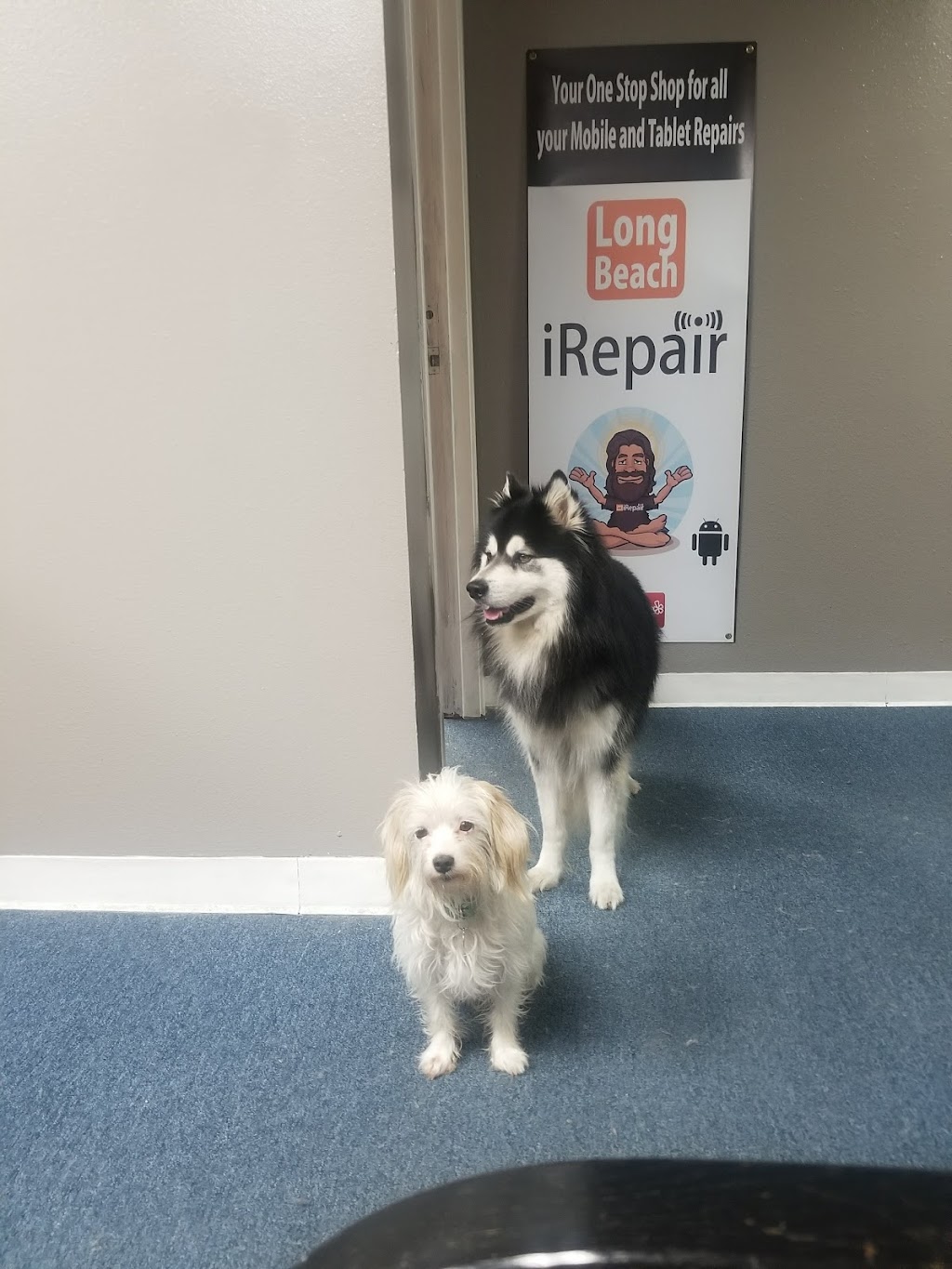 Long Beach iRepair 2069 E Willow St, Signal Hill, CA 90755, USA BusinessYab