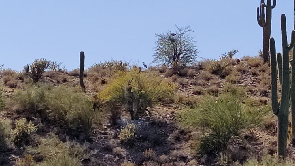 Lake Pleasant Boat Tours Arizona | 2222 W Parkside Ln #124, Phoenix, AZ 85027, USA | Phone: (480) 331-4769