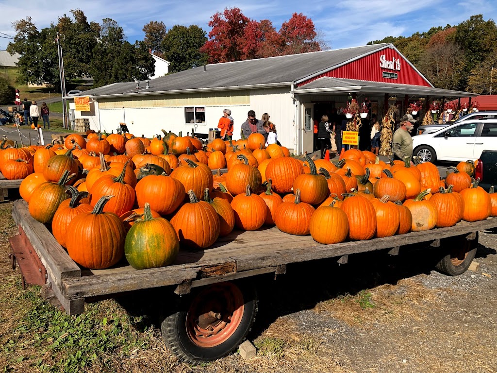 Shenot Farm & Market | 3754 Wexford Run Rd, Wexford, PA 15090, USA | Phone: (724) 935-2542