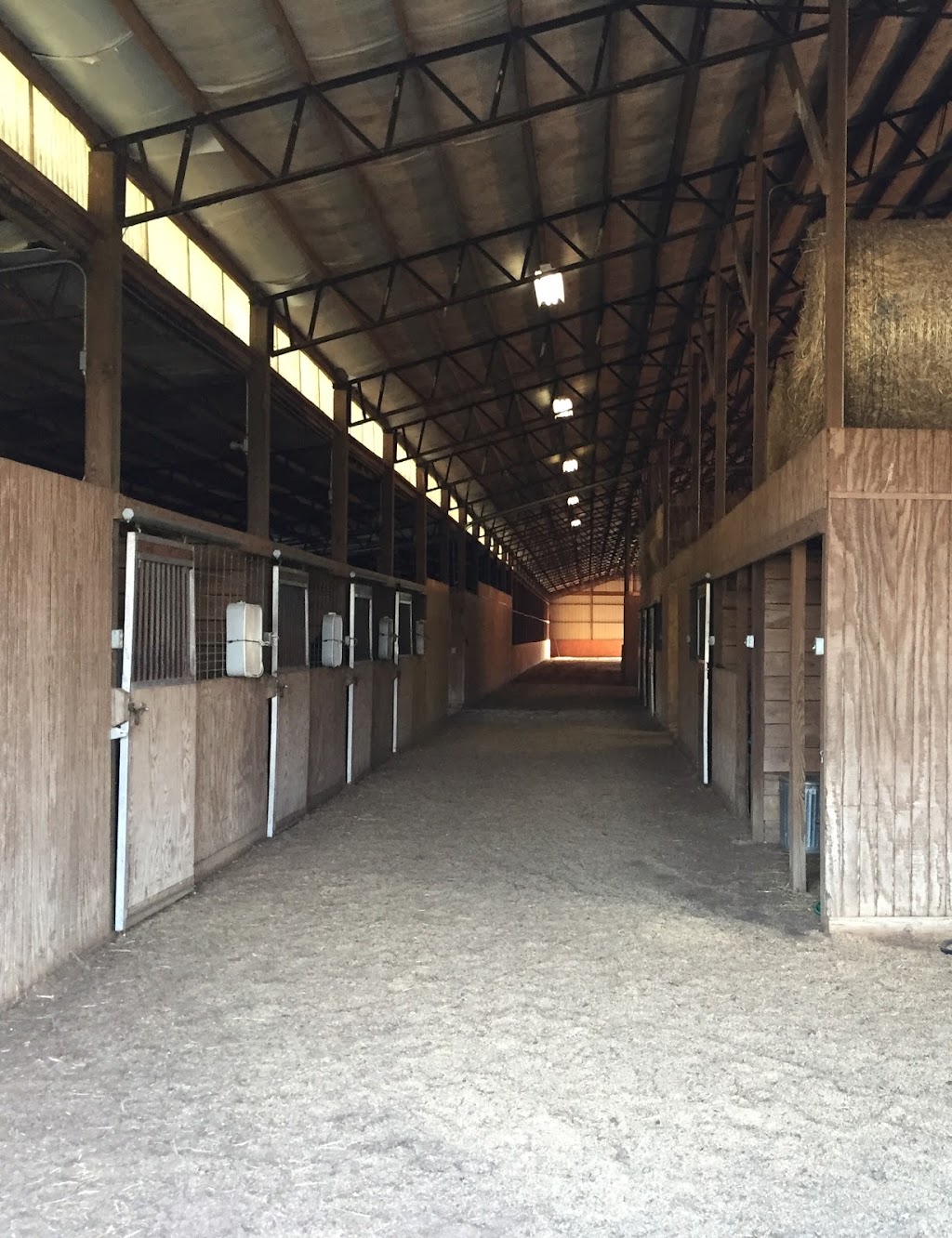 Starlite Stables | 1426 Blair Farm Rd, Odenville, AL 35120 | Phone: (205) 790-6792