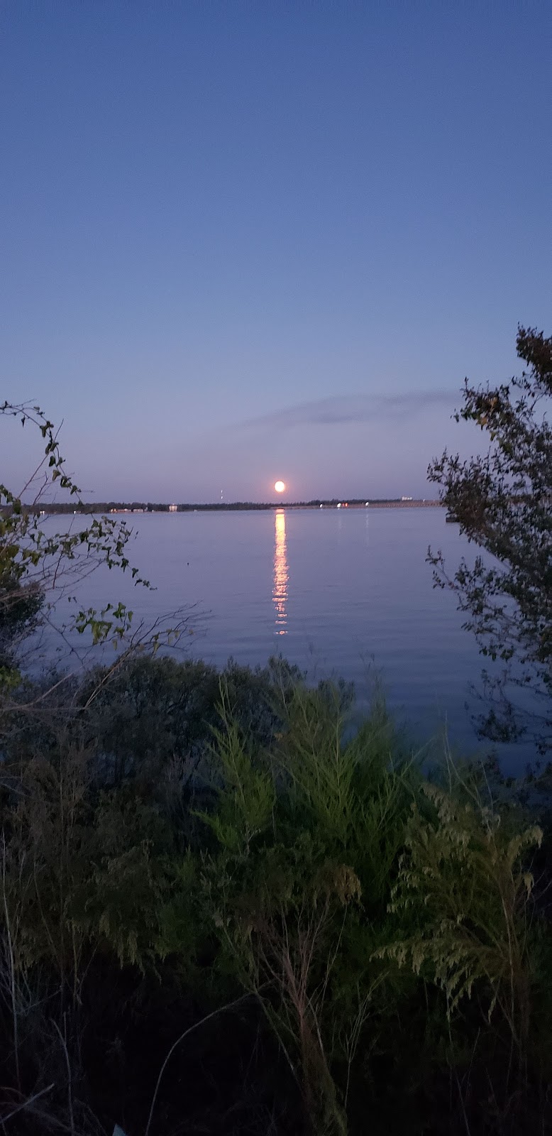 Walmart Photo Center | 5450 New Hope Commons Dr, Durham, NC 27707, USA | Phone: (919) 489-5575