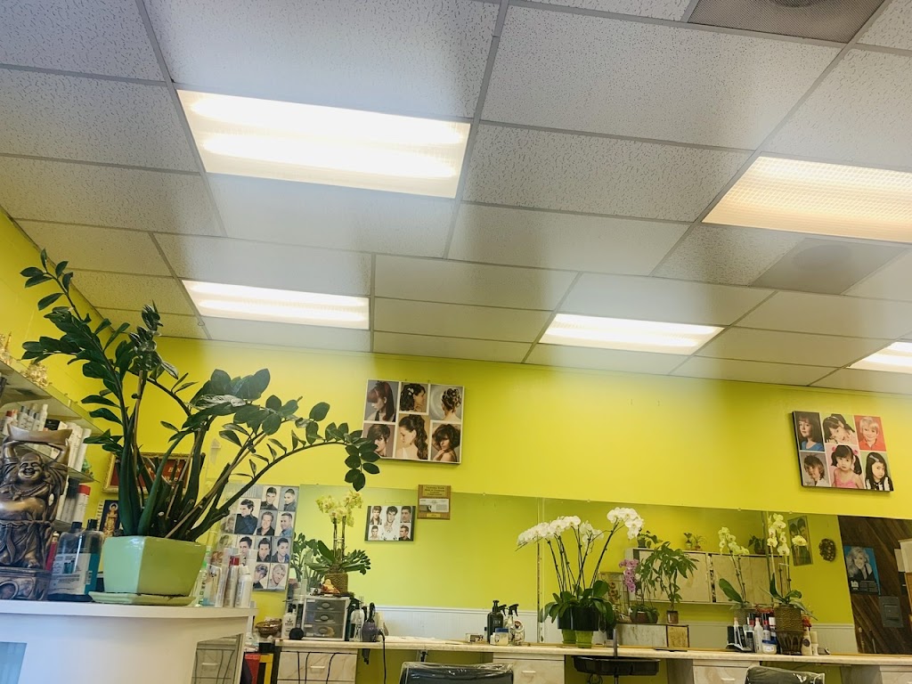 High Life Beauty Salon | 1611 Flickinger Ave, San Jose, CA 95131, USA | Phone: (408) 729-4921