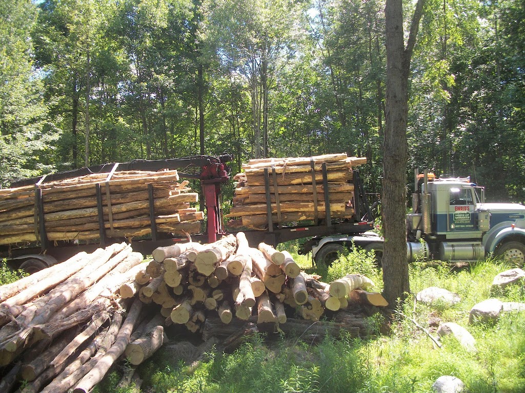 Ewalds Logging | 3416 NY-52, Pine Bush, NY 12566, USA | Phone: (914) 474-3441
