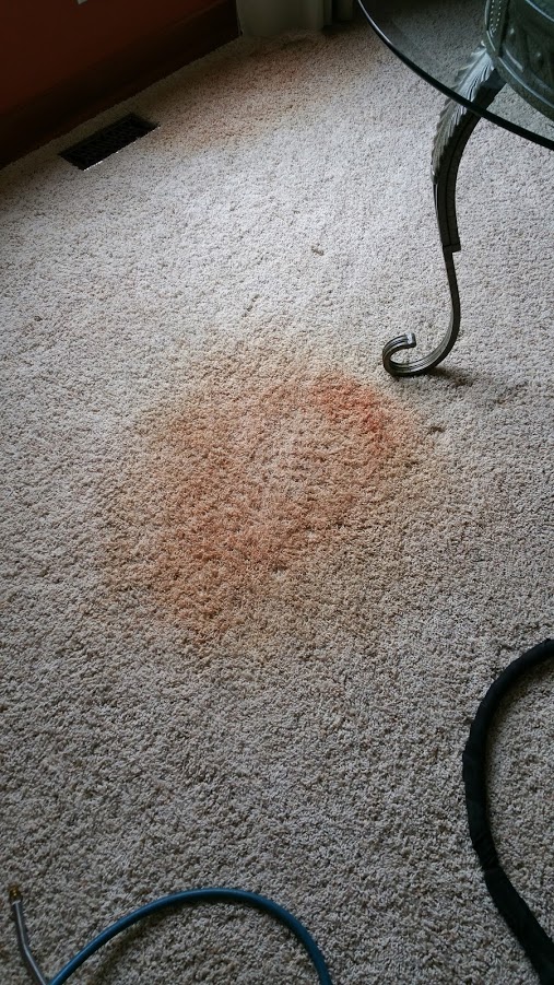 Ameri-Tech Carpet Cleaners | 739 Winston Pl, OFallon, MO 63366, USA | Phone: (636) 379-9950