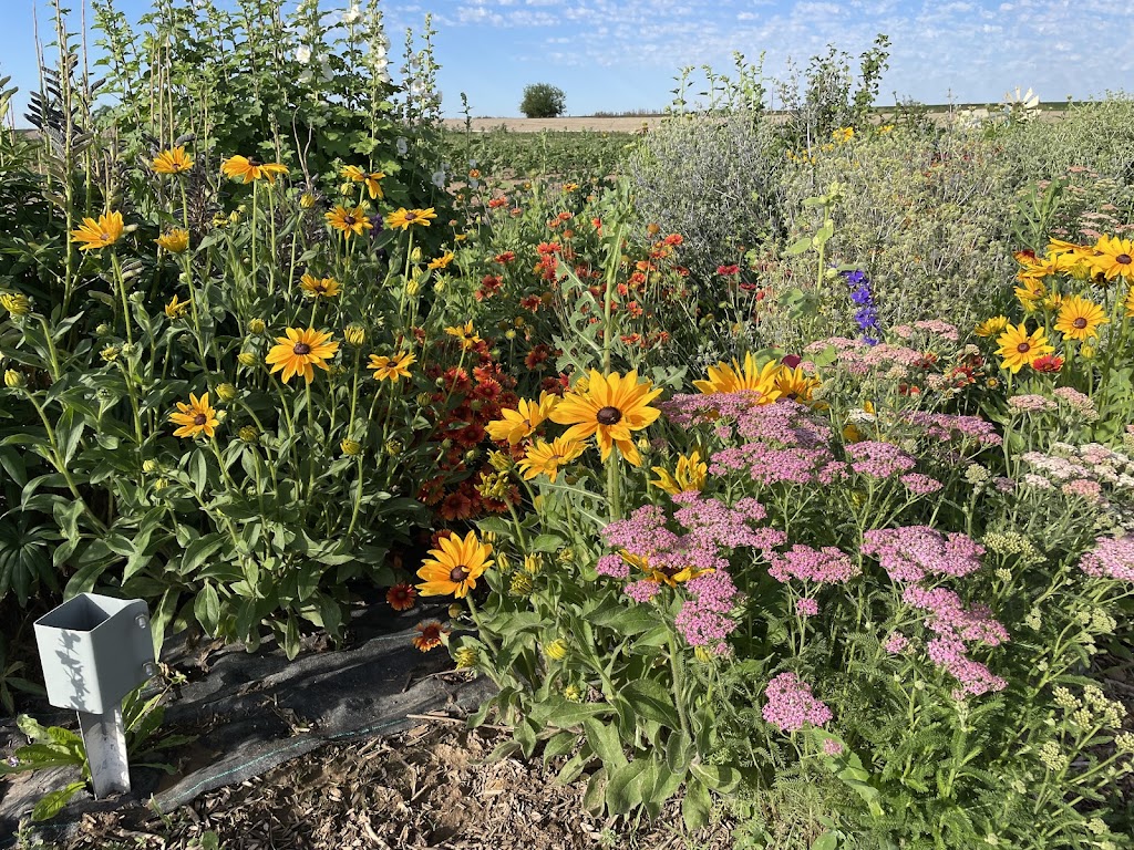 Hidden Hollow Farms | 6285 SE 8th Ave, Caldwell, ID 83607, USA | Phone: (208) 880-6625