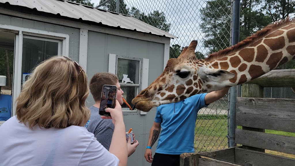 Aloha Safari Park | 159 Mini Ln, Cameron, NC 28326, USA | Phone: (919) 770-7109