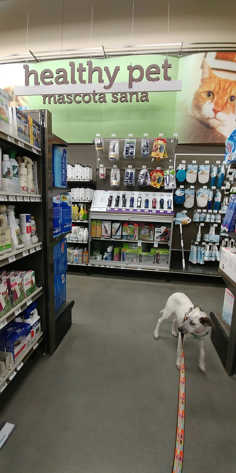 Petco | 3070 S Horner Blvd, Sanford, NC 27332, USA | Phone: (919) 718-0688