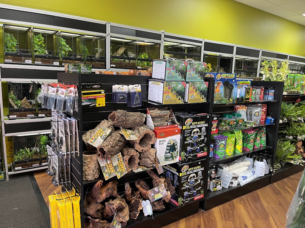 Reigning Reptiles | 3550 S Bogan Rd #600, Buford, GA 30519, USA | Phone: (678) 765-2445