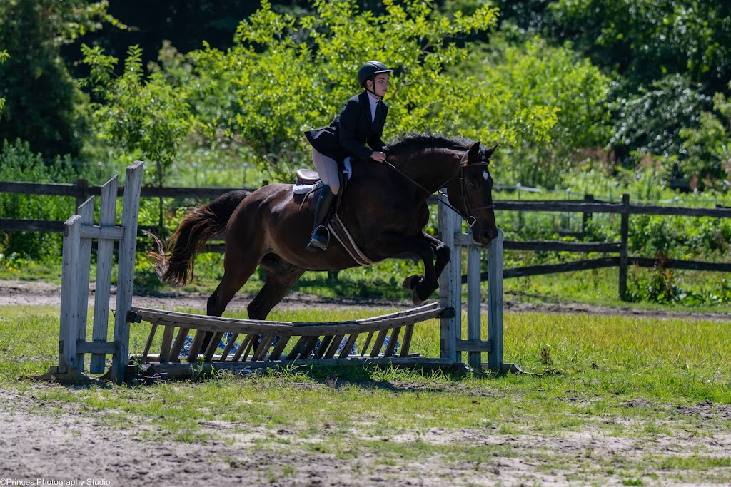 Topline Horse Center - Sunday