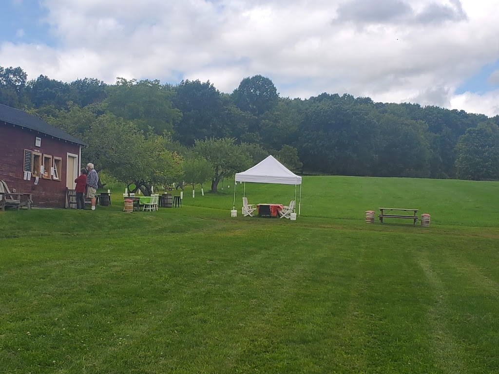 Little Apple Cidery | 178 Orchard Ln, Hillsdale, NY 12529, USA | Phone: (917) 287-6339